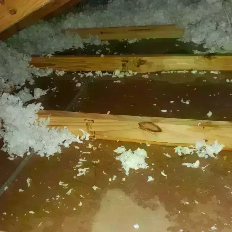 Attic Water Damage in Winona County, MN