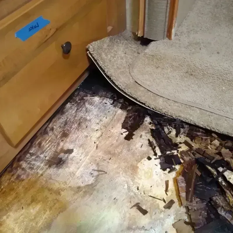 Wood Floor Water Damage in Winona County, MN